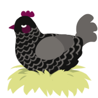 Interstellar Medium, a black and grey chicken with a lace pattern