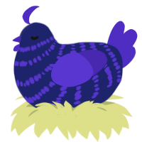 A navy and indigo chicken with a bar pattern