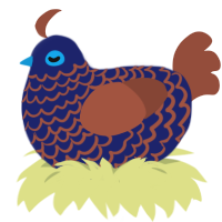 Twilight, a navy and russet chicken with a lace pattern