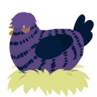 A overcast and tumblr chicken with a bar pattern