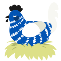 A ultramarine and white chicken with a bar pattern