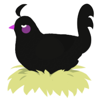 A black chicken with a double-lace pattern