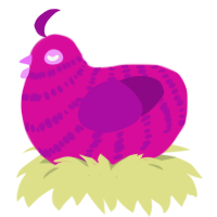 (unnamed), a fuchsia and plum chicken with a bar pattern