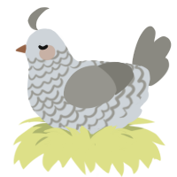 A mist and ash chicken with a lace pattern