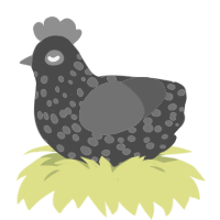 A teal and violet chicken with a speckle pattern