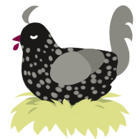 A sable and ash chicken with a speckle pattern