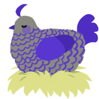 A ash and indigo chicken with a lace pattern