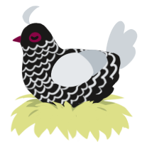 FS-T, a sable and mist chicken with a lace pattern