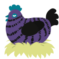 stormy, a overcast and black chicken with a bar pattern
