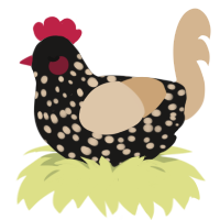 A sable and beige chicken with a speckle pattern