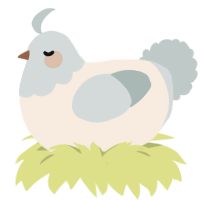 A cream and silver chicken with a head pattern