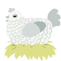 A white and silver chicken with a lace pattern