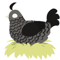 A grey and sable chicken with a lace pattern