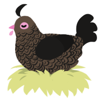 A bark and sable chicken with a double-lace pattern