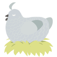 A mist and silver chicken with a lace pattern