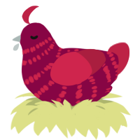 A maroon and crimson chicken with a bar pattern