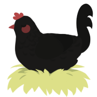 A sable and black chicken with a half-lace pattern