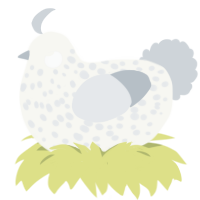 A white and mist chicken with a speckle pattern