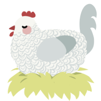 A white and silver chicken with a double-lace pattern