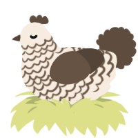A cream and bark chicken with a lace pattern