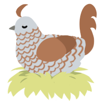 A mist and brown chicken with a lace pattern