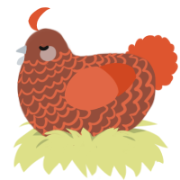 A russet and vermilion chicken with a lace pattern