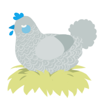 A silver chicken with a double-lace pattern