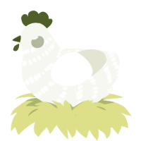 A white chicken with a bar pattern