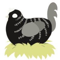 A sable and ash chicken with a half-bar pattern