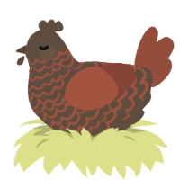 A bark and russet chicken with a lace pattern