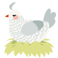 A white and silver chicken with a lace pattern