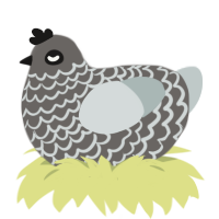 A grey and silver chicken with a lace pattern