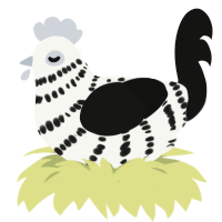 zebra finch, a white and black chicken with a bar pattern