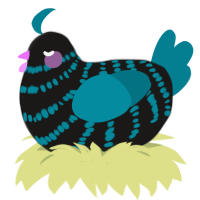 A sable and sea chicken with a bar pattern