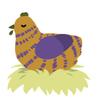 Buttercup, a gold and overcast chicken with a bar pattern