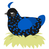 A sable and ultramarine chicken with a speckle pattern