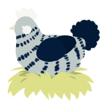 A silver and tumblr chicken with a bar pattern
