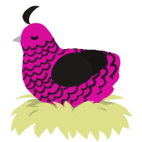 Scene, a fuchsia and sable chicken with a lace pattern