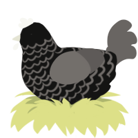 A black and grey chicken with a lace pattern
