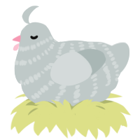 A silver chicken with a bar pattern