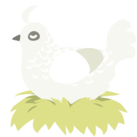 A white chicken with a half-lace pattern