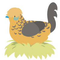 A honey and grey chicken with a half-lace pattern