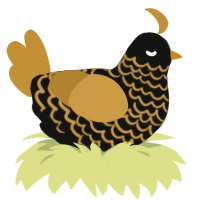 Goldie, a black and gold chicken with a lace pattern