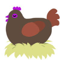 Brownie, a bark and russet chicken