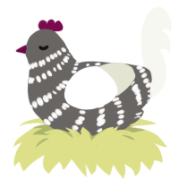 Skeleton, a grey and white chicken with a bar pattern