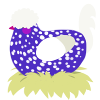 A indigo and white chicken with a speckle pattern