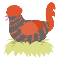 A grey and vermilion chicken with a bar pattern