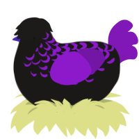 Lomario, a sable and violet chicken with a half-lace pattern