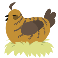 A gold and bark chicken with a half-bar pattern