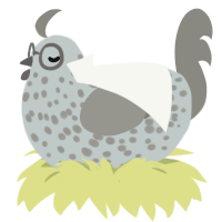 A silver and ash chicken with a speckle pattern